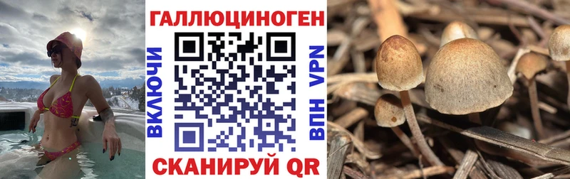 Галлюциногенные грибы Cubensis  закладка  это наркотические препараты  Петушки  кракен ссылки 